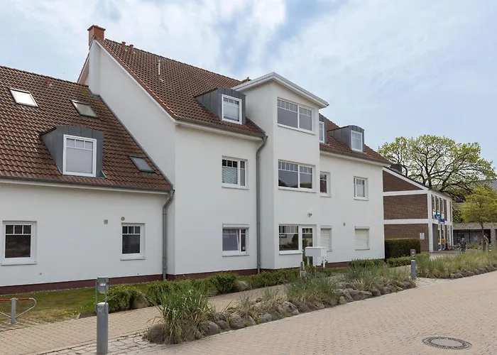 Ostseeperle Kornblume * Kellenhusen