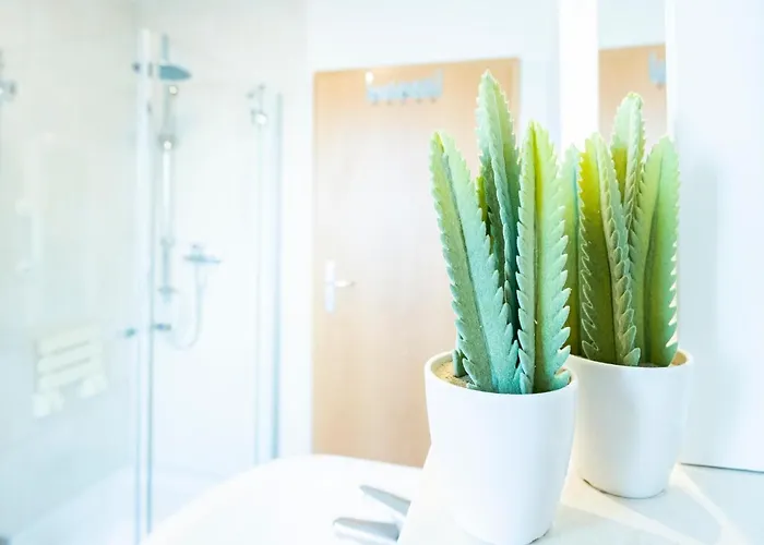 Ostseeperle Kornblume Kellenhusen