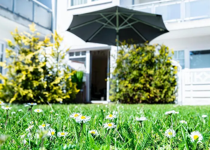 Ostseeperle Kornblume *